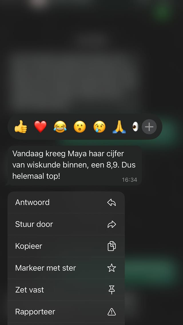 5-sterren Google review – De Bijlesbuurt Purmerend