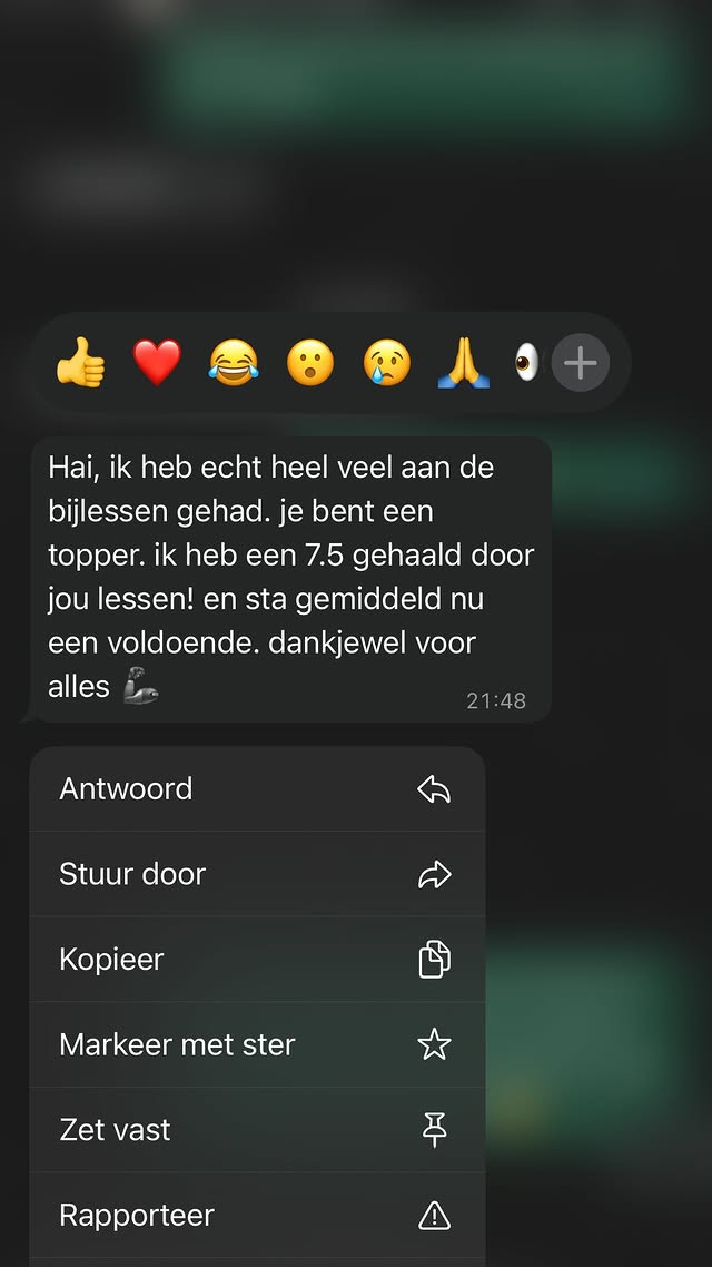 Positieve Google review over bijles in Purmerend