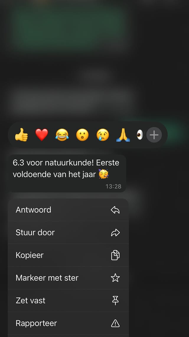 Google review 7